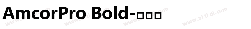 AmcorPro Bold字体转换